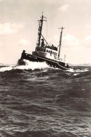 Rotterdam Sleepboot Hector 1958 L. Smit & Co\\u2019s Internationale Sleepdienst Scheepvaart SchepenHC27129 Zamów teraz