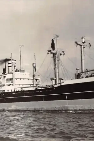 Niska cena Rotterdam s.s. Aalsdyk 1958 Holland Amerika Lijn Scheepvaart Schepen HC27349