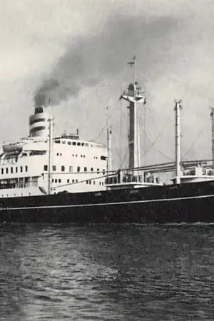 Darmowa dostawa Rotterdam S.S. Diemerdyk Holland America Line Scheepvaart Schepen HC27328