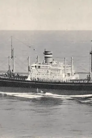 Rotterdam S.S.Almdyk Holland America Line Scheepvaart Schepen HC27324 Wyprzedaż