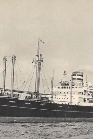 Rotterdam S.S. Schiedijk Holland America Line Scheepvaart Schepen HC27323 Autentyczny