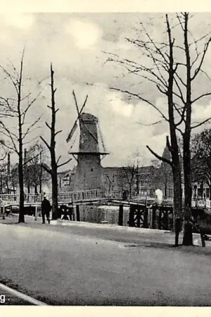 Schiedam Kippenbrug Molen HC26941 Premium