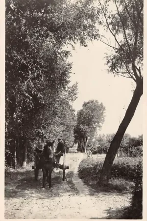 Noord-Brabant Noord-Brabantsch Dorpsleven Paard en wagen HC26808 Rabat