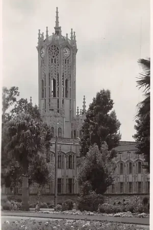 Tani Nieuw Zeeland New Zealand Auckland University Fotokaart Australië HC26901