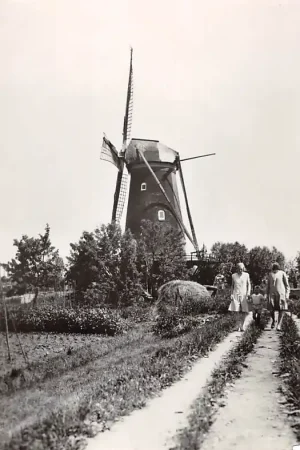 Zamów teraz Zo was Dordrecht Molen Willem II a.d. Krommedijk gezien van de Dubbeldamseweg omstreeks 1930 (1966) HC26786