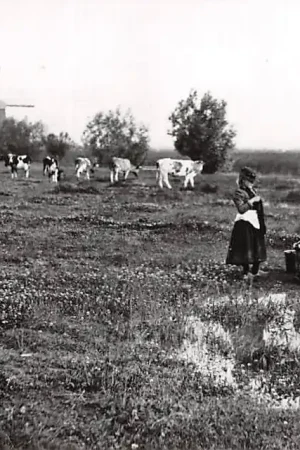 Zo was Dordrecht Noordendijk, richting stad omstreeks 1905 (1968) Molen HC26763 Rabat