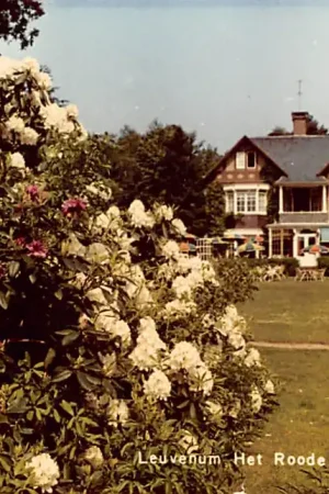 Popularny Leuvenum Het Roode Koper Fotokaart 1967 HC26721