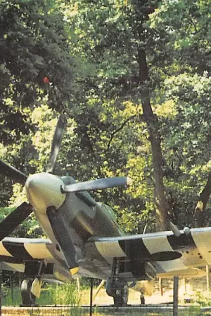 Overloon Nationaal Oorlogs- en Verzetsmuseum Spitfire MK XIV C Engels Jachtvliegtuig Vliegtuigen Militair HC26488 Szybka dostawa
