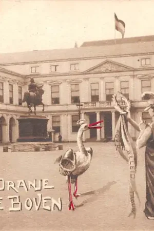 's-Gravenhage Paleis 1909 Geboorte Prinses Juliana 't Is Oranje 't blijft Oranje 't Is Oranje boven Koningshuis HC26451 Oferta limitowana