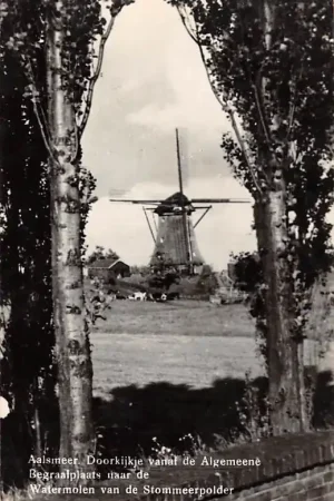 Aalsmeer Doorkijkje vanaf de Algemeene Begraafplaats naar de Watermolen van de Stormmeerpolder 1947 Molen HC26089 Kup teraz