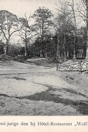Wolfheze Duizend-jarige den bij Hotel - Restaurant Wolfhezen 1911 Renkum Veluwe HC25834 Szybka dostawa