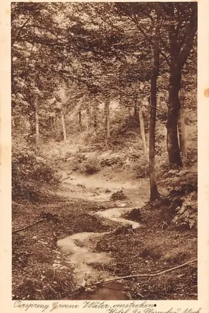 Ekspresowa dostawa Mook Oorsprong Groene water omstreken Hotel De Plasmolen HC25820