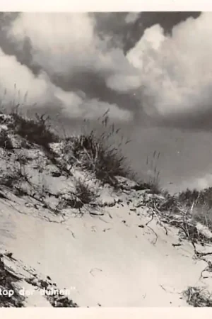Katwijk aan Zee Blanke top der duinen 1952 HC25391 Kup teraz