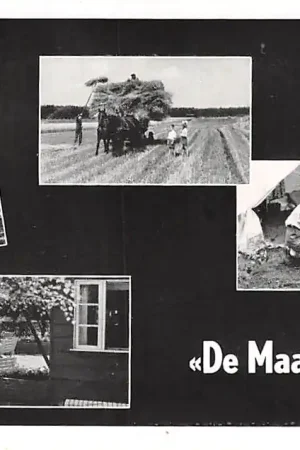 Zwrot pieniędzy Maarn De Maarnse Berg Bonds-vakantie-oord 1961 Camping