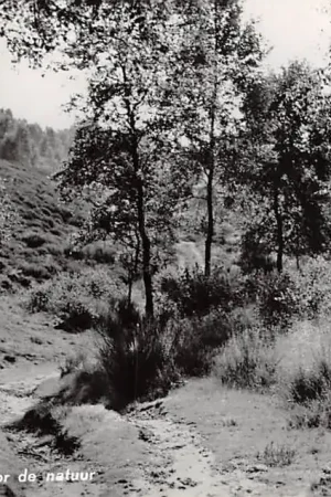 Oferta Nunspeet Wandelpad door de natuur Veluwe HC25385