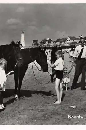 Noordwijk aan Zee Strandleven met paarden op het strand Vuurtoren 1951 HC25229 Rabat