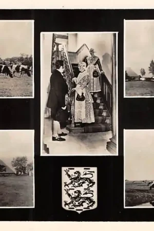 Friesland Groeten uit 1954 Molen Boerderij Klederdracht HC25164 Promocja