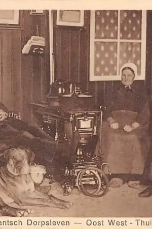 Kup teraz Noord-Brabantsch Dorpsleven Oost West - Thuis best Klederdracht 1929 HC25013