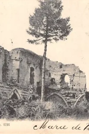 Valkenberg (ZL) Ruïne 1904 HC25012 Premium