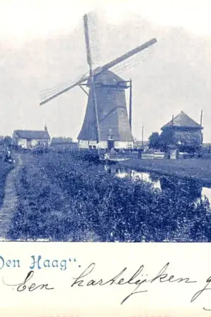 Molen Motiv bei Den Haag 1900 's-Gravenhage HC25053 Oryginalny