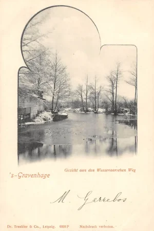 Wysoka jakość 's-Gravenhage Gezicht aan den Wassenaarschen Weg in de winter HC25040