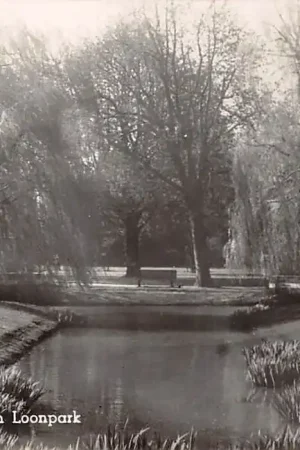 Roosendaal Emile van Loonpark Type fotokaart HC24960 Nowość