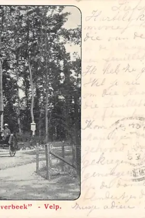 Velp N.V. Villaprak Overbeek 1904 Koets met paard HC24945 Tylko dziś