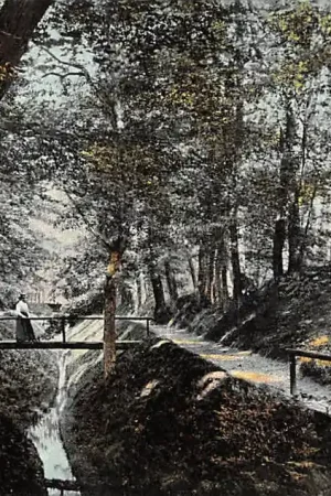 Apeldoorn Parapluie in het Park 1904 HC24855 Zamów teraz