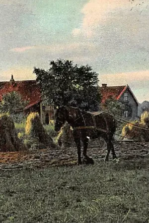 Baarn Augustus Eggen van de korenakker Boer met paard 1904 HC24853 Premium