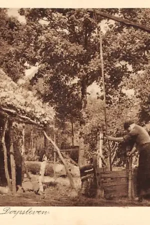 Wysoka jakość Noord-Brabantsch Dorpsleven Boerderij Vrouw bij de waterput Klederdracht Nood-Brabant HC24743