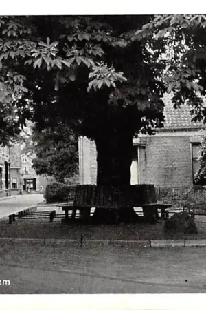 Lochem De ronde bank HC24537 Ostatnia szansa