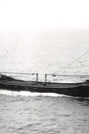 Scheepvaart M.S. Mount Everest \\/ Meduza Foto Schepen Bodewes Scheepswerven Martenshoek HC24015 Oferta