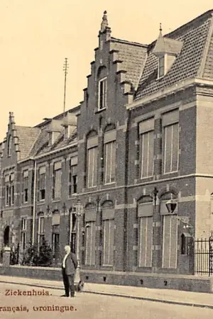 Ekspresowa dostawa Groningen Nieuwe Ziekenhuis Tulp HC23907