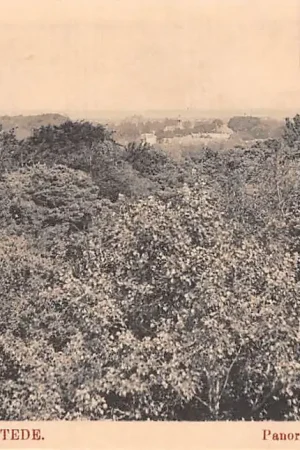 Oferta Heemstede Groenendaal Panorama van af de Belvedère Haarlem HC23790