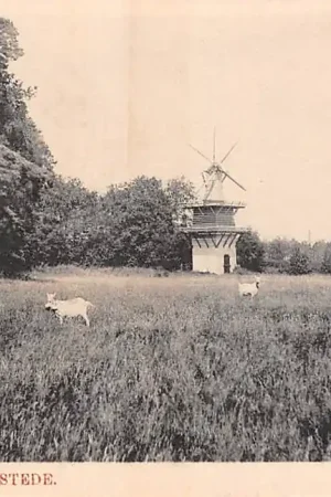 Najlepsza cena Heemstede Groenendaal Molentje Molen Haarlem HC23777