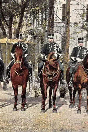 Militair Marechaussees te paard kleine tenue Tulp HC23597 Zamów teraz