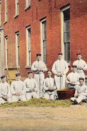 Militair Kazerne leven Boonen doppen Tulp HC23590 Oferta