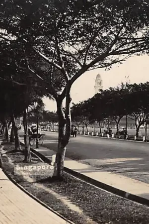 Popularny Singapore Fotokaart Azië HC23694