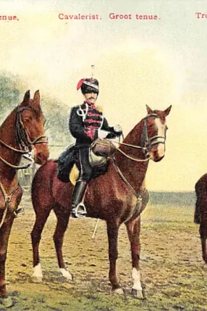 Militair Cavalerie Brigadier Groot tenue Cavalerist Groot tenue Trompetter marschtenue Soldaten te paard Tulp HC23578 Tylko dziś