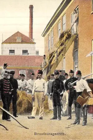 Oryginalny Militair Cavalerie Stroofourageren Kazerne Paard Tulp 1911 HC23576