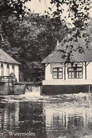 Winterswijk \\ Nowość