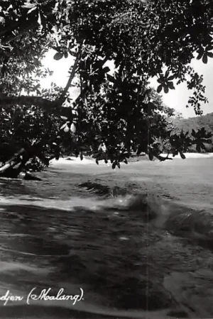 Niska cena Indonesia Malang Java Pantai Ngelijeb Kepandjen Fotokaart Azië Nederlands-Indië Indonesië HC23463
