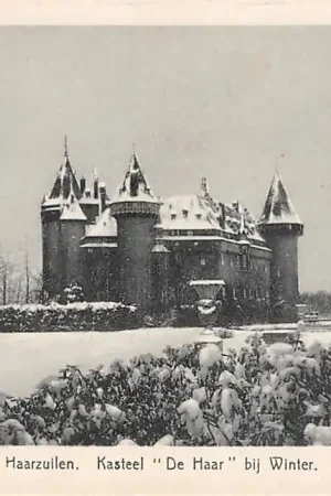 Haarzuilens Kasteel De Haar bij winter in de sneeuw Vleuten De Meern HC23243 Tani