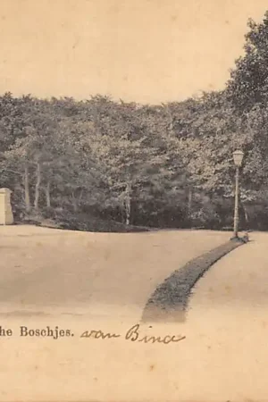 's-Gravenhage Groete uit de Scheveningsche Boschjes Cremer en Verheull Bank 1902 HC22918 Tani