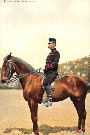 Militair Serie Cavalerie 1e Luitenant Klein tenue te paard Tulp HC22752 Oferta
