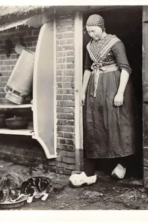 Staphorst Boerin geeft katten een schoteltje melk Boerderij 1957 HC22720 Niska cena