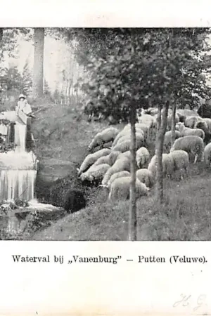 Popularny Putten Veluwe Waterval bij Vanenburg met schaapskudde 1906 HC22564