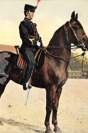 Militair Veld-Artillerie Wachtmeester Groot-tenue te paard 1909 HC22670 Oryginalny