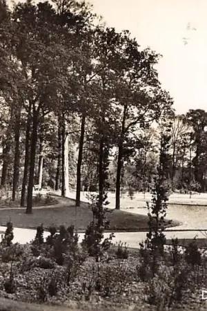 Dordrecht Park Weizicht 1955 HC22283 Ekspresowa dostawa