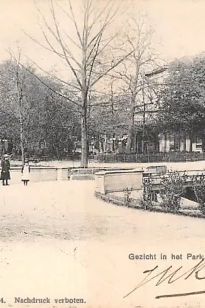 Rotterdam Gezicht in het Park 1907 HC21679 Oferta